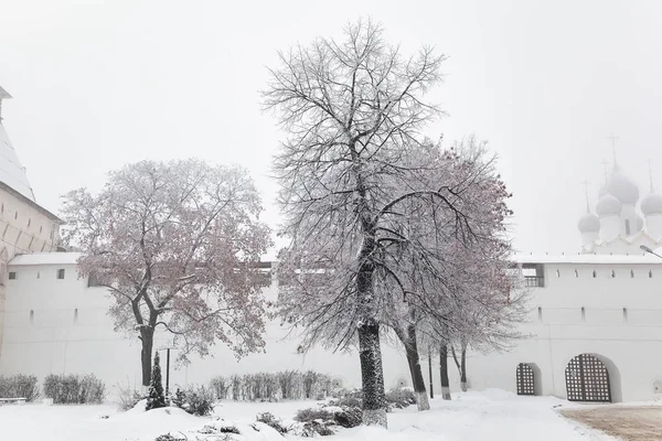 Piękne zimowe zaśnieżone drzew na terenie Kremla Rostov Wielkiego w Rosji — Zdjęcie stockowe