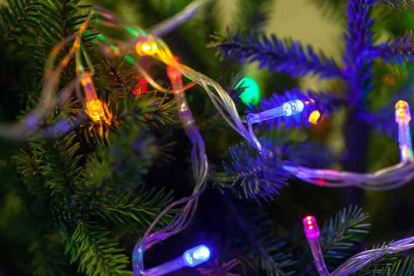 Noel arka plan, renkli fenerler yakın çekim ile Noel ağacı. Parlayan ışıklar, yeni yıl