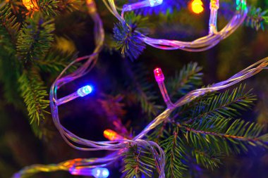 Süslenen Noel ağacı. çelenk ışık