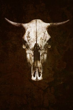 boğa boynuzları ile. Kupa büyük boynuzlu hayvan portre
