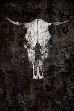 Bir boğa siyah bir zemin üzerine hayalet kafatası