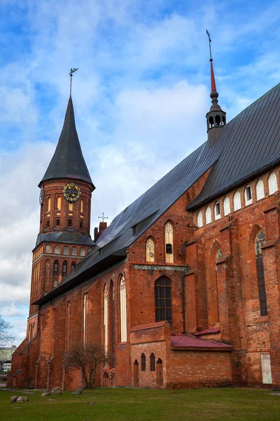 Katedra w Kaliningradzie (Katedra Knigsberg). Położony w zabytkowej dzielnicy miasta Kaliningrad - (teraz nazywane popularnie "Kant Island Kneiphof") — Zdjęcie stockowe