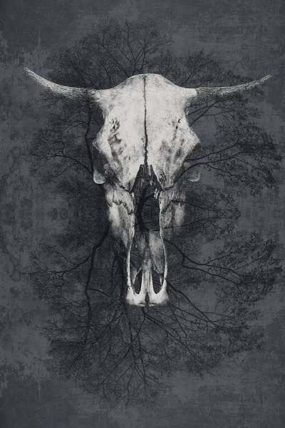 Fondo grunge creativo. Fondo de textura áspera color gris con cráneo de toro en el centro —  Fotos de Stock