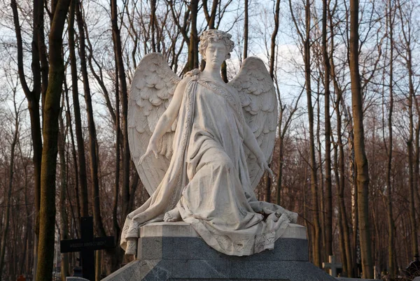 Moskva Ryssland Mar 2017 Tyska Cemetery Vvedenskoye Cemetery Historisk Kyrkogård — Stockfoto