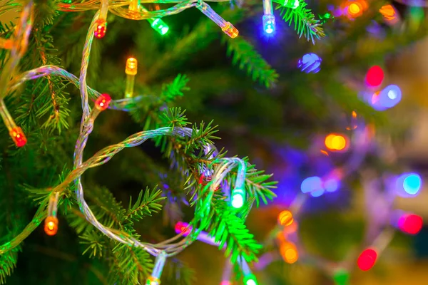 Las linternas brillantes en las ramas del árbol de Navidad. Fondo festivo —  Fotos de Stock