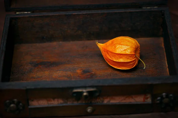 Cape groseilles à maquereau (physalis) en boite de bois vintage — Photo