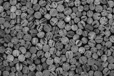 Tıpa ağacının mantarının arkaplan dokusu