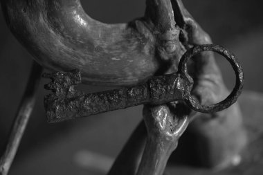 Dalların arasında eski bir anahtar var. Siyah beyaz fotoğraf