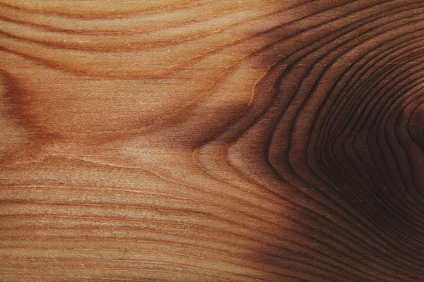 Krásná Struktura Řeziva Dřevěné Pozadí Časovými Kroužky — Stock fotografie