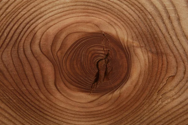 Dřevěné Pozadí Dřevěná Textura Řezal Strom Uzlem Kroužky Času — Stock fotografie