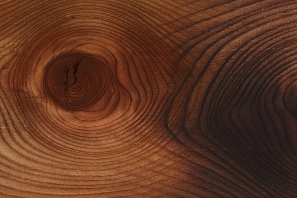 Dřevěný Průřez Textury Krásným Vzorem Designu Vliv Dvojité Expozice Vícenásobná — Stock fotografie