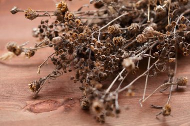 Ahşap arka planda kurumuş yabani çiçekler