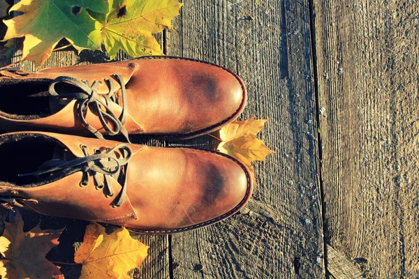棕色的鞋，秋天背景 — 图库照片