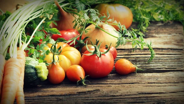 Fresh vegetables on dark background — Stock Photo, Image