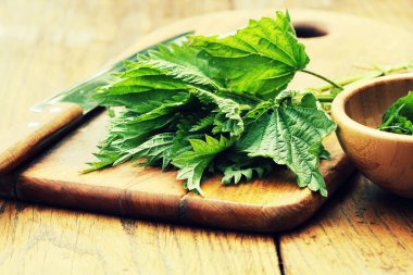 Şifalı bitki taze ısırgan otu bir kesme tahtası üzerinde .