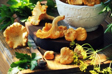 bir tablo üzerinde taze Cantharellus cibarius mantar