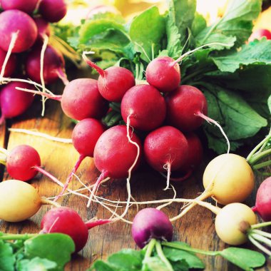 Taze organik turp rustik ahşap arka plan üzerinde farklı çeşitli