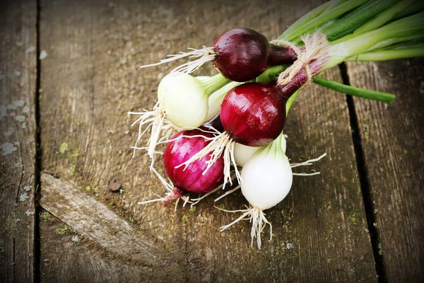 Cebollas rojas y blancas frescas sobre fondo de madera — Foto de Stock