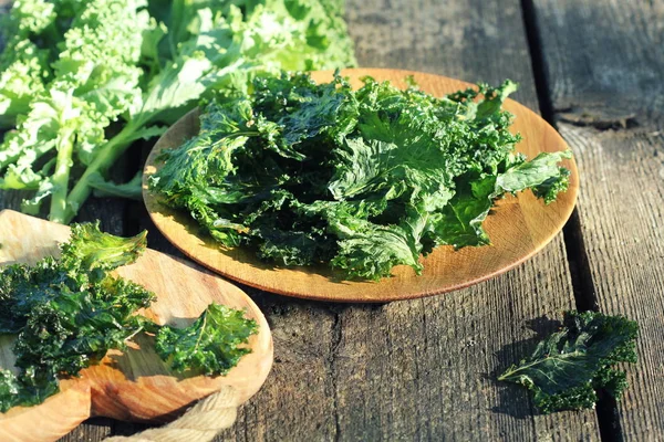 Homemade Organic Green Kale Chips with salt and oil — Stock Photo, Image