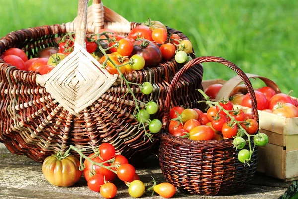 Фасоль сорта помидоры в корзинах на деревенском столе. Красочные помидоры - красный, желтый, оранжевый. Концепция приготовления овощей — стоковое фото