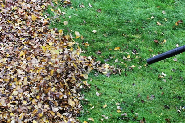 बागवानी एक पत्ती ब्लोअर उपकरण का उपयोग करके पत्तियों को साफ कर रहा है — स्टॉक फ़ोटो, इमेज