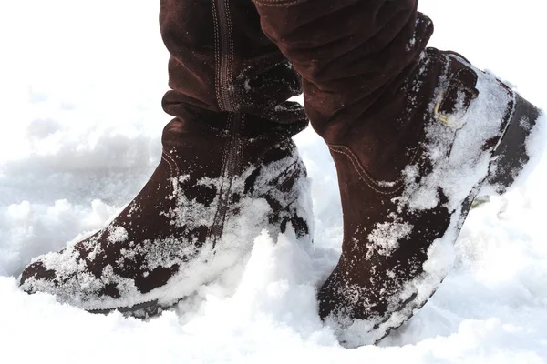 Hnědá Dámská obuv pokryty sněhem v zimě — Stock fotografie
