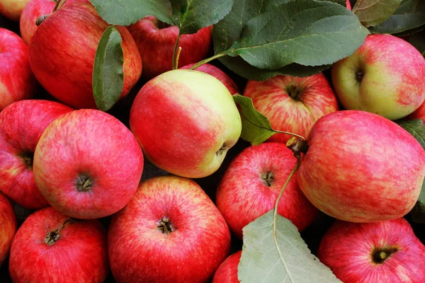 Background with fresh red apples . Top view — Stock Photo, Image