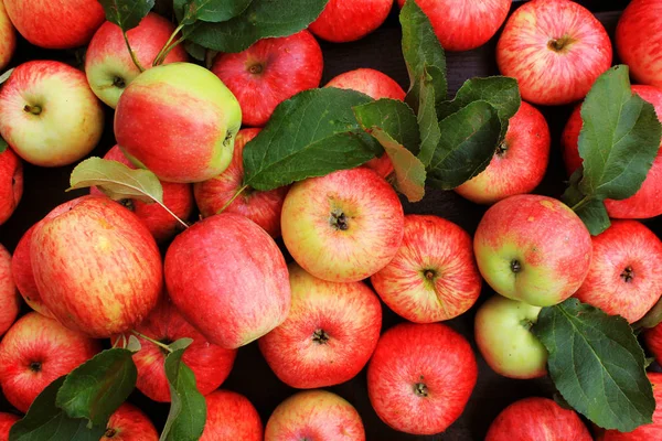 Background with fresh red apples . Top view — Stock Photo, Image