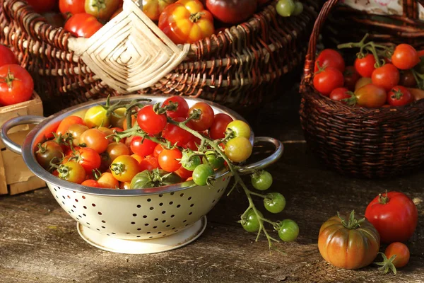 Фасоль сорта помидоры в корзинах на деревенском столе. Красочные помидоры - красный, желтый, оранжевый. Концепция приготовления овощей — стоковое фото
