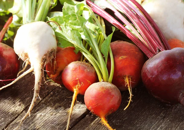 Frische Bauernhof bunte Rote Bete auf einem hölzernen Hintergrund. Entgiftung und Gesundheit. Selektiver Fokus. rote, goldene, weiße Rüben — Stockfoto