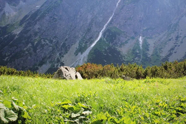 Βουνό και λιβάδι σε όρη Τάτρα, Σλοβακία — Φωτογραφία Αρχείου