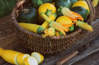 Kabak hasadı. Sepette duran taze kabak. Bahçeden taze kabak topladım. Organik gıda konsepti