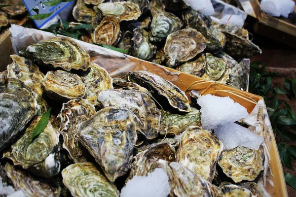 Ostriche fresche sul ghiaccio in vendita in un mercato di frutti di mare . Fotografia Stock