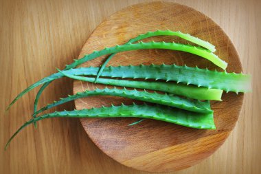 Lleaf of fresh aloe vera on wooden plate , natural clear gel as the star beauty ingredient for skin care clipart