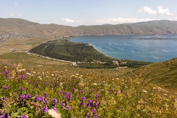 Wildflowers and mountain lake in Armenia — Stock Photo, Image