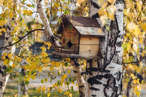 背景に黄色の秋の枝、白樺の木のバードハウス. — ストック写真