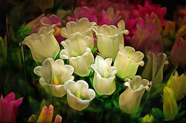 Bunte Vielfalt an Blumen — Stockfoto