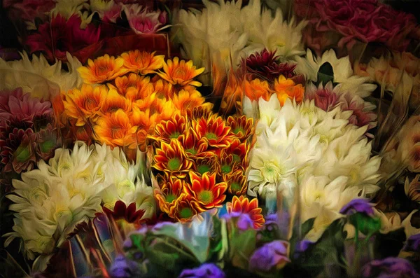 Colorida variedad de flores — Foto de Stock