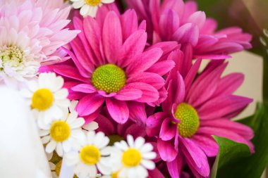 pembe krizantem buket