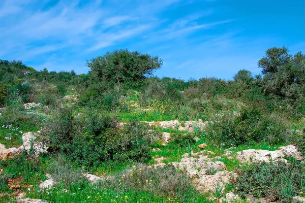 Paesaggio selvaggio della Galilea — Foto Stock