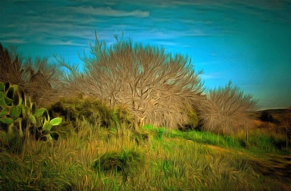 Çıplak huş ağacı — Stok fotoğraf