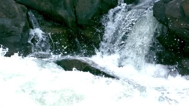 Slow mo kleiner Wasserfall ins Wildwasser — Stockvideo
