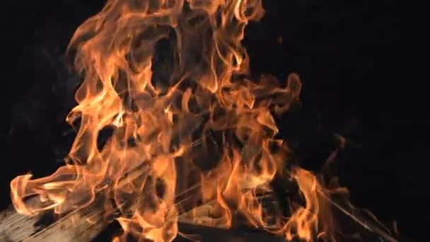 Slow motion burning firewood — Stock Video