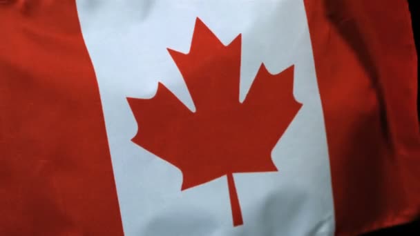 Ralenti drapeau canadien dans le vent — Video