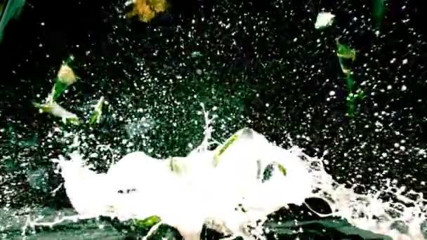 Slowmotion exploderande champagne — Stockvideo