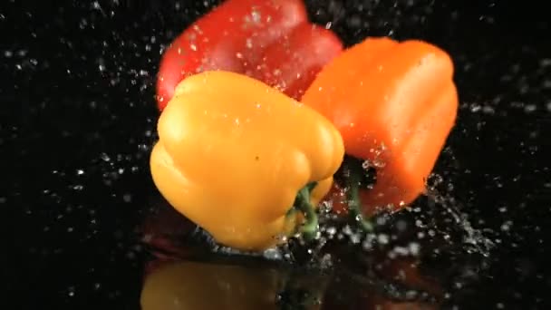 Zeitlupe fallende Paprika — Stockvideo