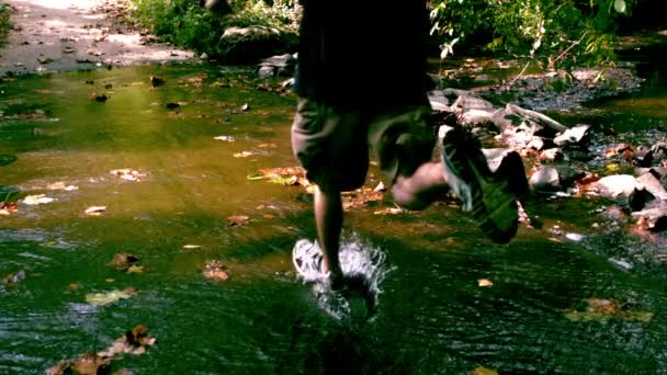 Hidasliikkeinen uros juoksee metsässä — kuvapankkivideo