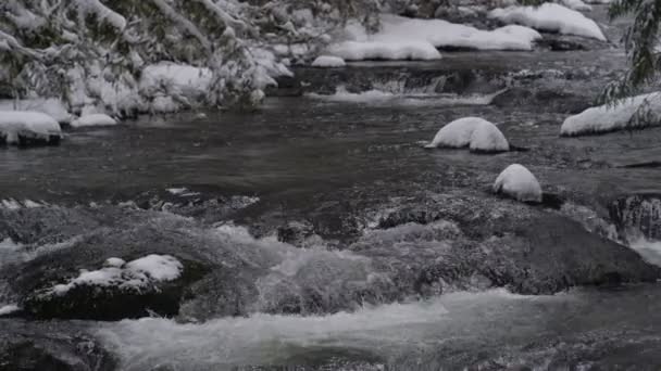 Ağır çekim buzlu nehir rapids üzerinde — Stok video
