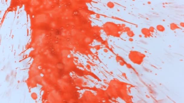 Naranja en cámara lenta sobre salpicaduras de pintura blanca — Vídeos de Stock