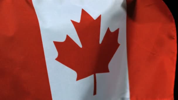 慢动作风加拿大国旗 — 图库视频影像